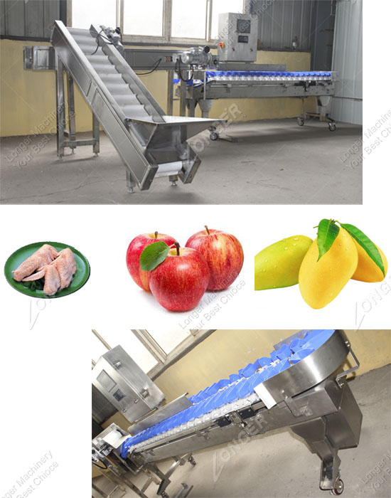 Weight Sorting Machine